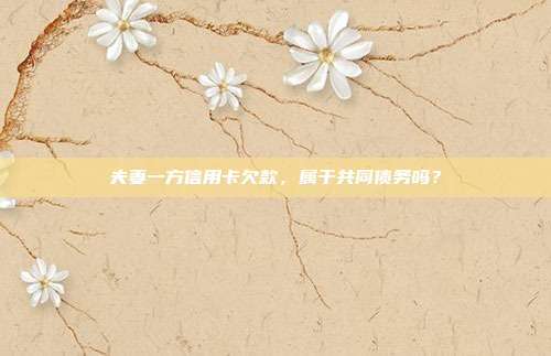 夫妻一方信用卡欠款,属于共同债务吗?