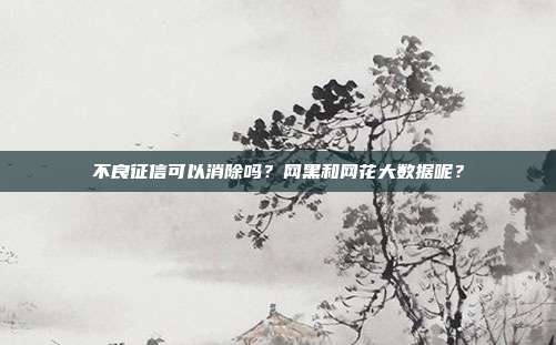 不良征信可以消除吗?网黑和网花大数据呢?