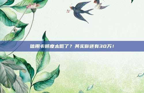 信用卡额度太低了?其实你还有30万!