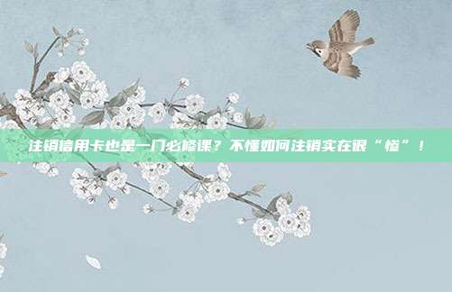 注销信用卡也是一门必修课?不懂如何注销实在很“惨”!