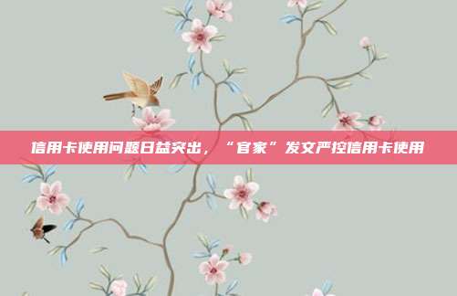 信用卡使用问题日益突出,“官家”发文严控信用卡使用