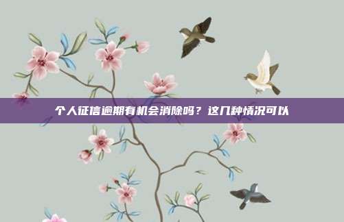 个人征信逾期有机会消除吗?这几种情况可以