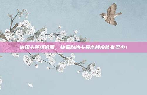 信用卡等级说明,快看你的卡最高额度能有多少!