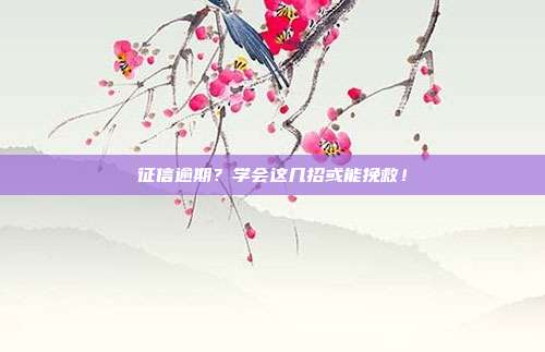 征信逾期?学会这几招或能挽救!