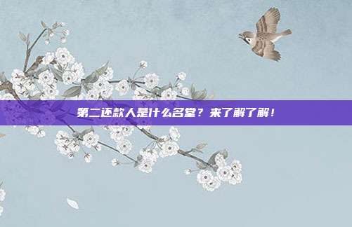 第二还款人是什么名堂?来了解了解!