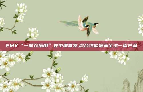 EMV“一芯双应用”在中国首发,综合性能媲美全球一流产品