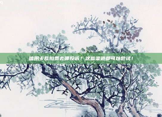 信用卡乱扣费去哪投诉?这些渠道都可以尝试!