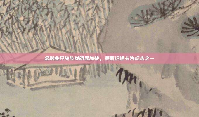 金融业开放步伐明显加快,美国运通卡为标志之一