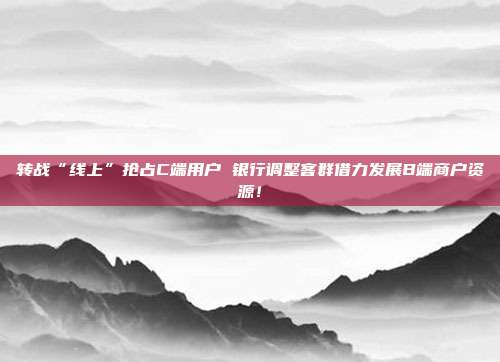 转战“线上”抢占C端用户 银行调整客群借力发展B端商户资源！