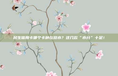 民生信用卡哪个卡种在放水?这几款“水分”十足!