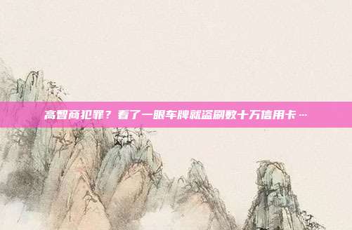 高智商犯罪?看了一眼车牌就盗刷数十万信用卡…