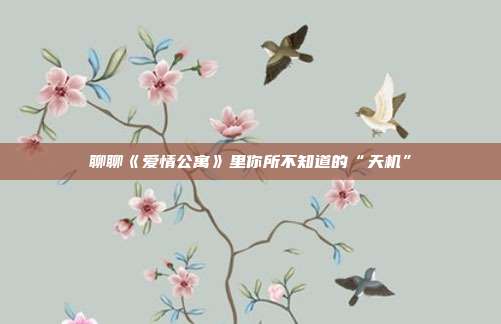 聊聊《爱情公寓》里你所不知道的“天机”