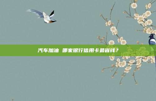 汽车加油 哪家银行信用卡最省钱?