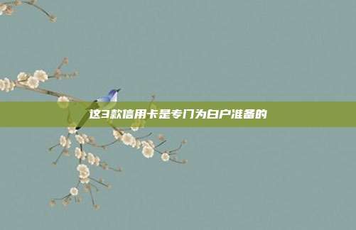 这3款信用卡是专门为白户准备的