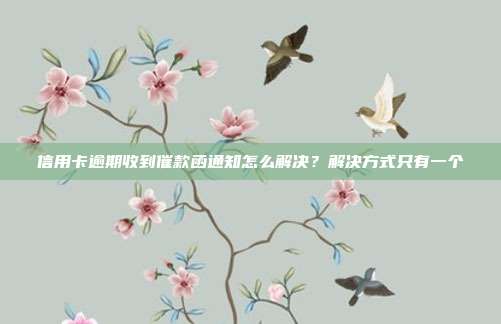 信用卡逾期收到催款函通知怎么解决?解决方式只有一个