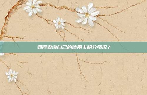 如何查询自己的信用卡积分情况?