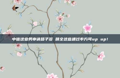 中信这业务申请路子多 顾全这些通过率方可up up！