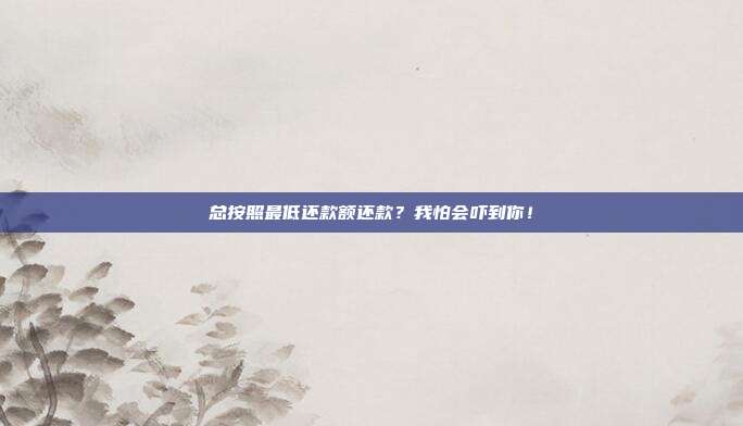 总按照最低还款额还款？我怕会吓到你！