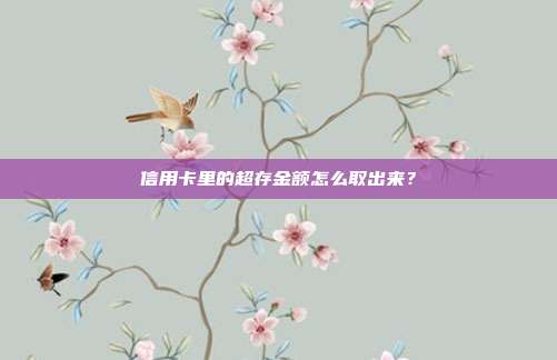 信用卡里的超存金额怎么取出来？