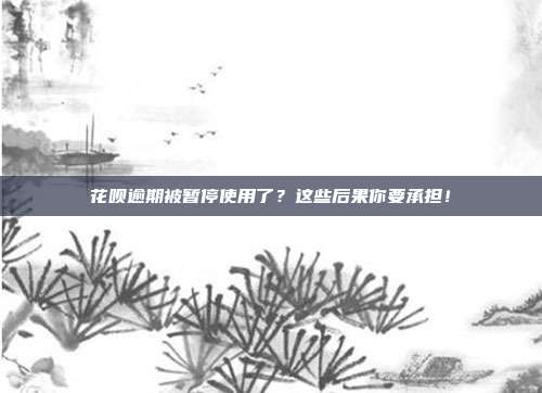 花呗逾期被暂停使用了?这些后果你要承担!
