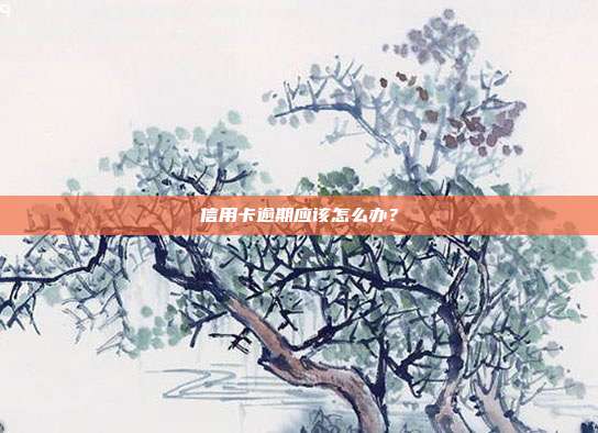 信用卡逾期应该怎么办?