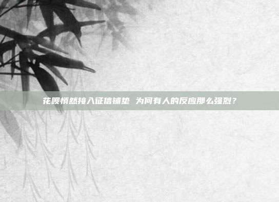 花呗悄然接入征信铺垫 为何有人的反应那么强烈？
