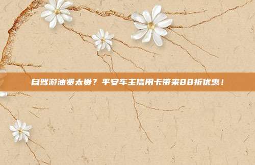 自驾游油费太贵？平安车主信用卡带来88折优惠！