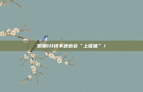 逾期1分钱不还也会“上征信”！