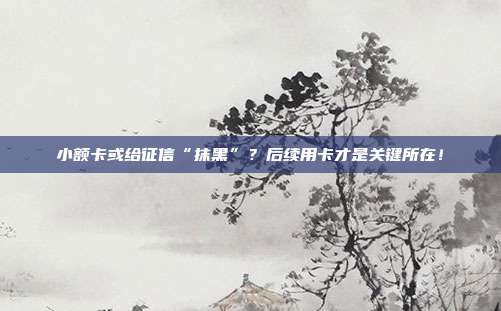 小额卡或给征信“抹黑”?后续用卡才是关键所在!