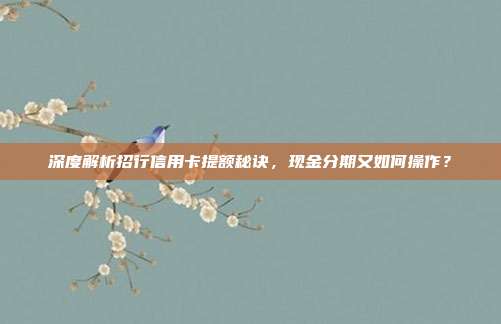 深度解析招行信用卡提额秘诀,现金分期又如何操作?
