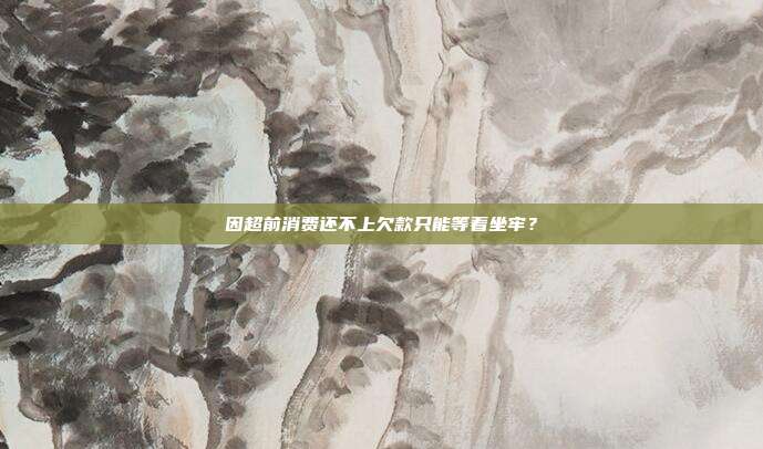 因超前消费还不上欠款只能等着坐牢？