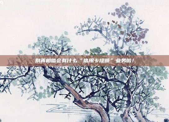 别再相信会有什么“信用卡提额”业务啦！
