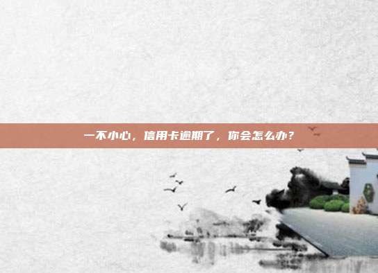 一不小心,信用卡逾期了,你会怎么办?