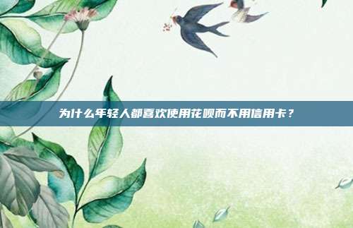 为什么年轻人都喜欢使用花呗而不用信用卡?