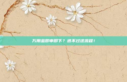 万用金即申即下?逃不过这流程!