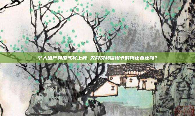 个人破产制度或将上线 欠网贷和信用卡的钱还要还吗?