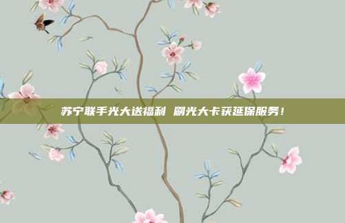 苏宁联手光大送福利 刷光大卡获延保服务!
