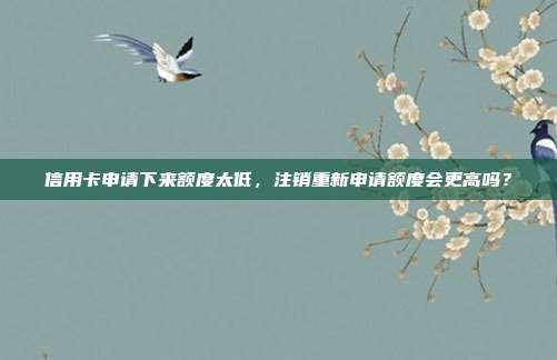 信用卡申请下来额度太低，注销重新申请额度会更高吗？