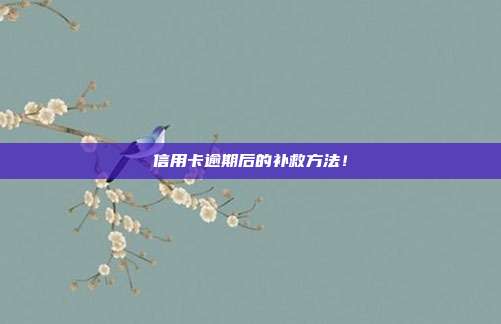 信用卡逾期后的补救方法!