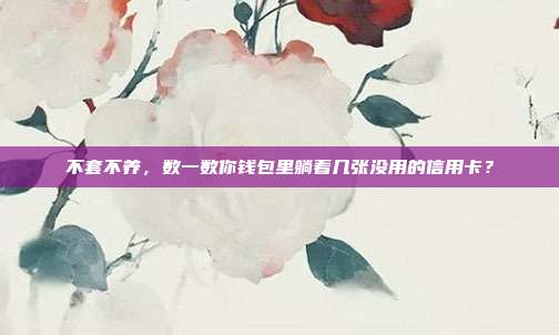 不套不养,数一数你钱包里躺着几张没用的信用卡?