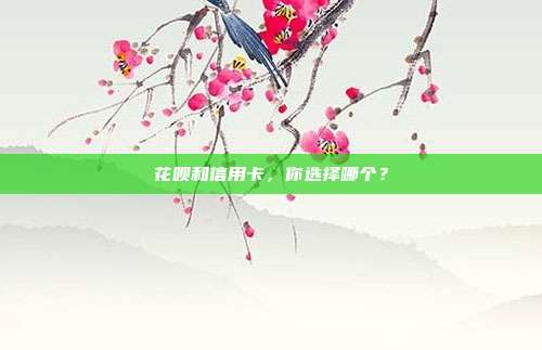 花呗和信用卡,你选择哪个?