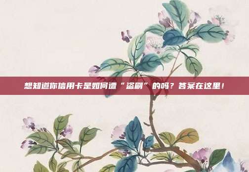 想知道你信用卡是如何遭“盗刷”的吗?答案在这里!