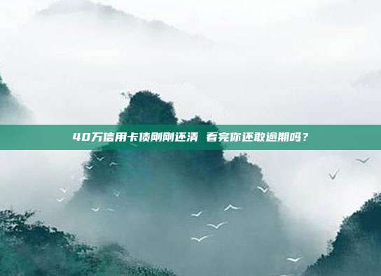 40万信用卡债刚刚还清 看完你还敢逾期吗?