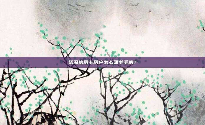 资深信用卡用户怎么薅羊毛的?