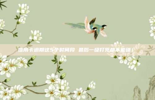 信用卡逾期这5个时间段 最后一级打死都不能碰!