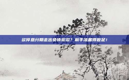 欲停息分期走出负债泥沼?前手准备得做足!