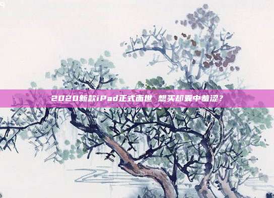 2020新款iPad正式面世 想买却囊中羞涩?