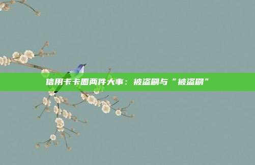 信用卡卡圈两件大事：被盗刷与“被盗刷”