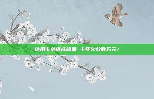 信用卡外借成隐患 十年欠款数万元!