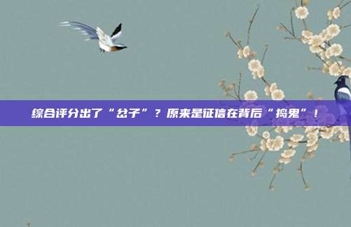 综合评分出了“岔子”?原来是征信在背后“捣鬼”!